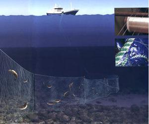 探营工博会|东华大学:打造纺织机械“特种部队”