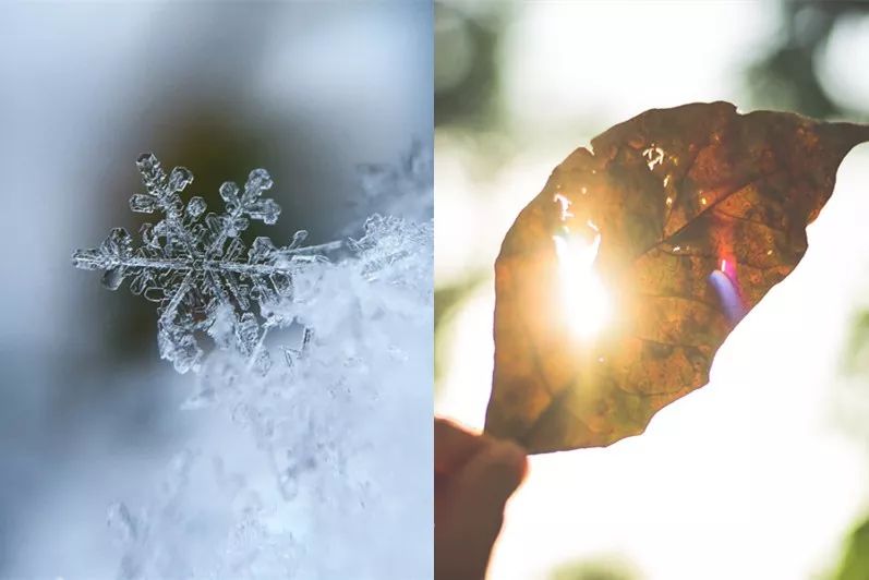 肺热咳嗽喝川贝枇杷膏有效吗,咳嗽喝止咳糖浆的说说