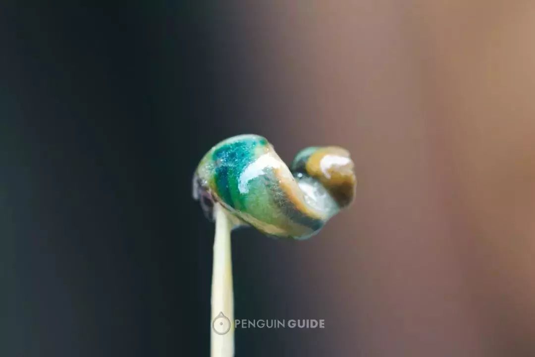 江南古镇十大必吃美食,江南古镇特色美食有哪些