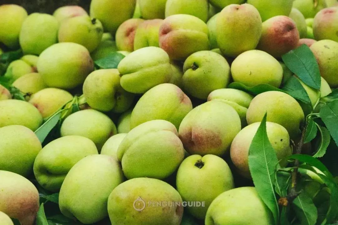 江南古镇十大必吃美食,江南古镇特色美食有哪些