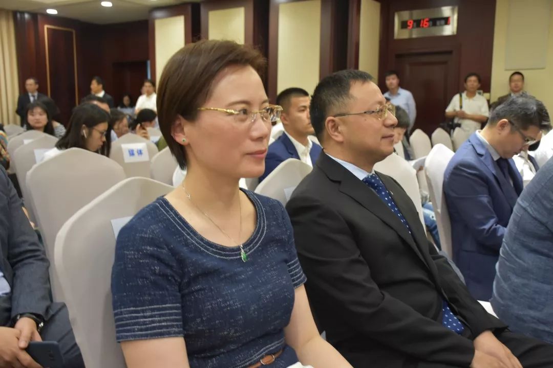 上海投资3176亿元主要有哪些项目,投资总额超1859亿美元