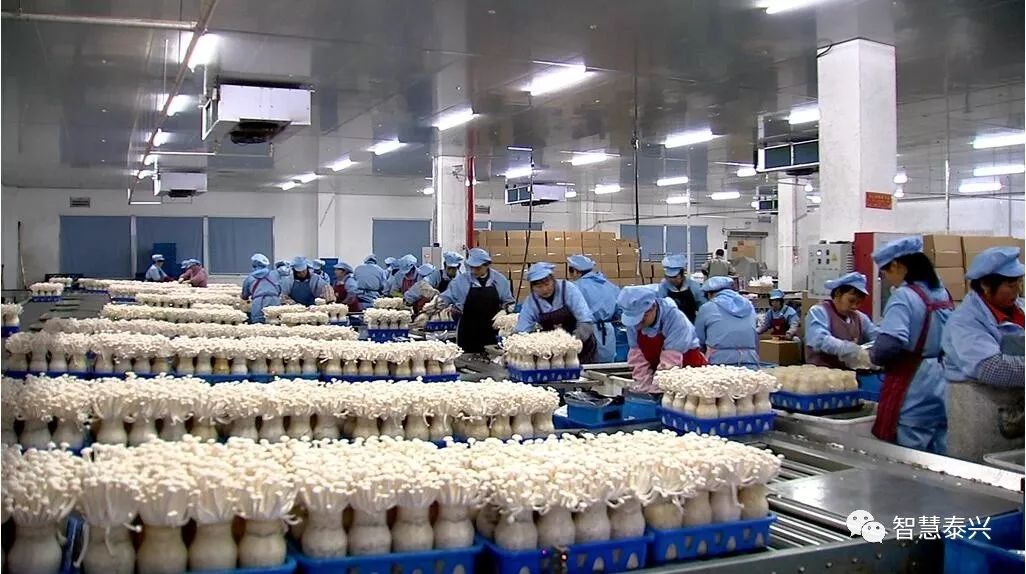 泰兴肉价最新价格,泰兴今日肉价