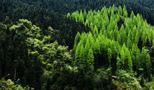 什邡,我想和你谈一辈子恋爱