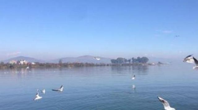 玉溪十大旅游景点，风景太美了，你去过几个