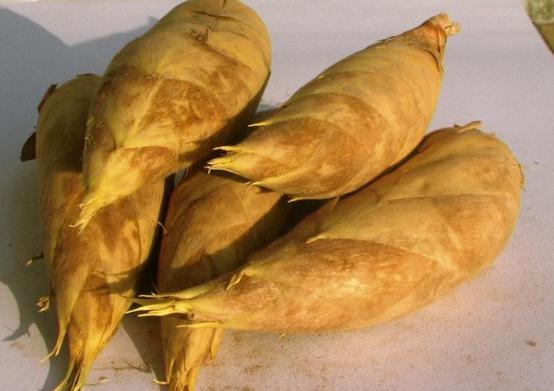 菜贩子买菜小妙招,菜贩子怎么买菜最好