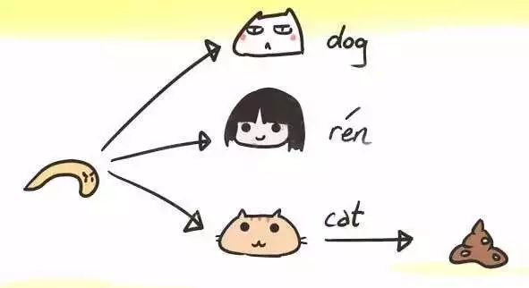 怀孕能养宠物吗专家怎么说的,怀孕可以养宠物猫咪吗