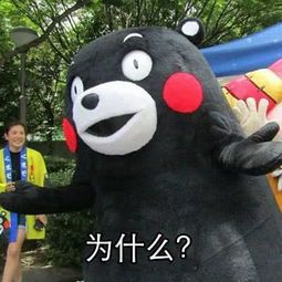 高丽参功效与作用禁忌食物,高丽参功效与用量