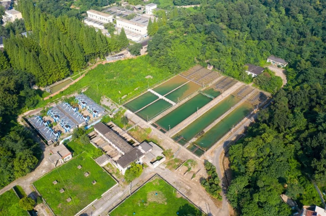 南京是什么气候类型,南京所有颜色