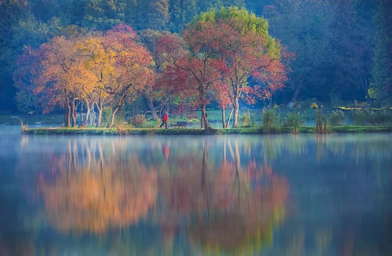 南京是什么气候类型,南京所有颜色