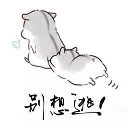 【济检聚“郊”】一文读懂“死缓”