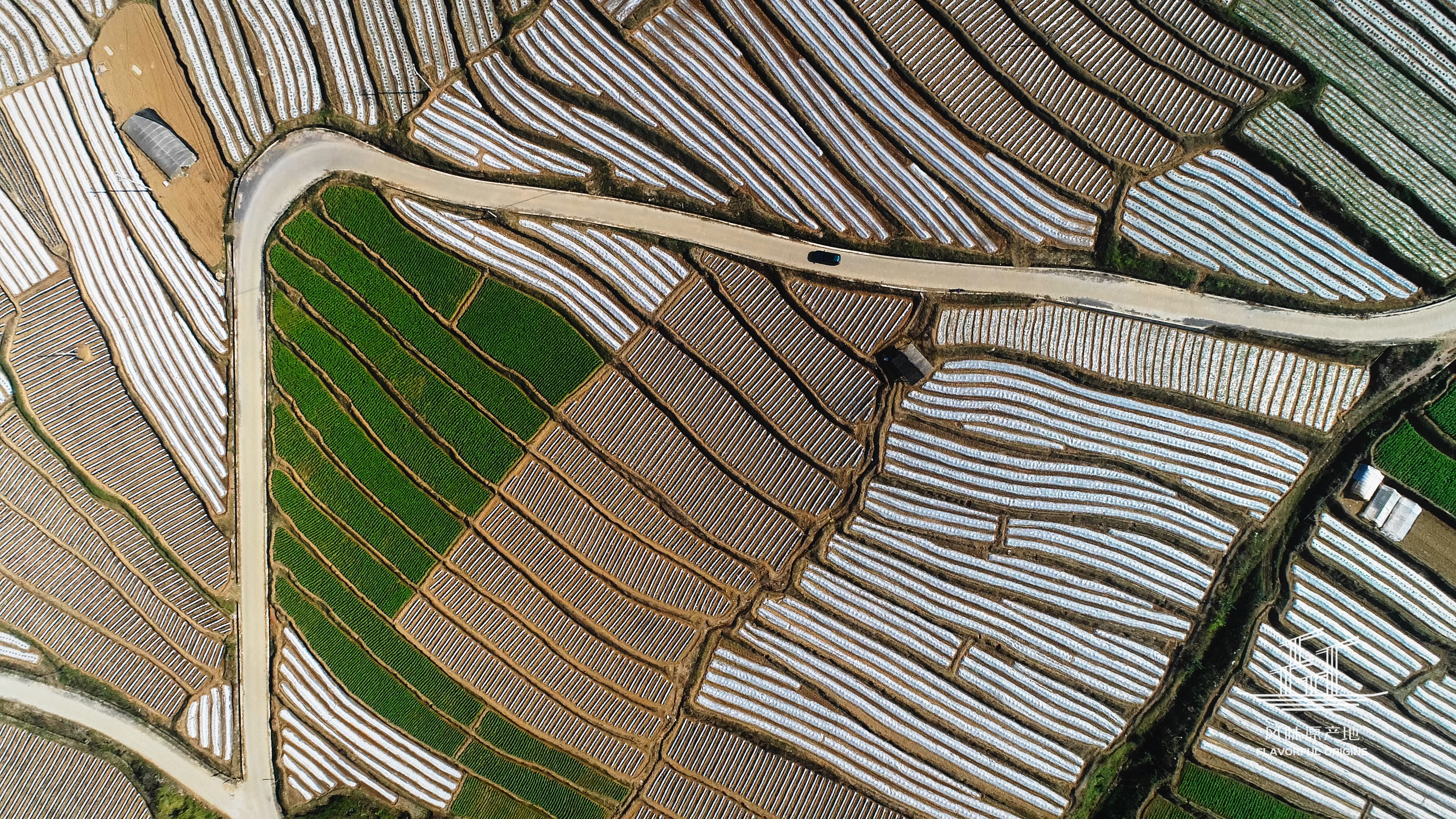 什么牌子的鲜花饼好吃最正宗,正宗鲜花饼的产地