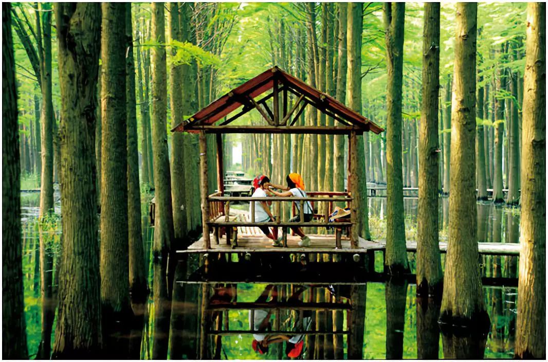 限时七天！上海宁一定要赶紧收下这波来自泰州靖江的美食暴击，来吸一口会跳舞的蟹黄汤包！鲜入心扉