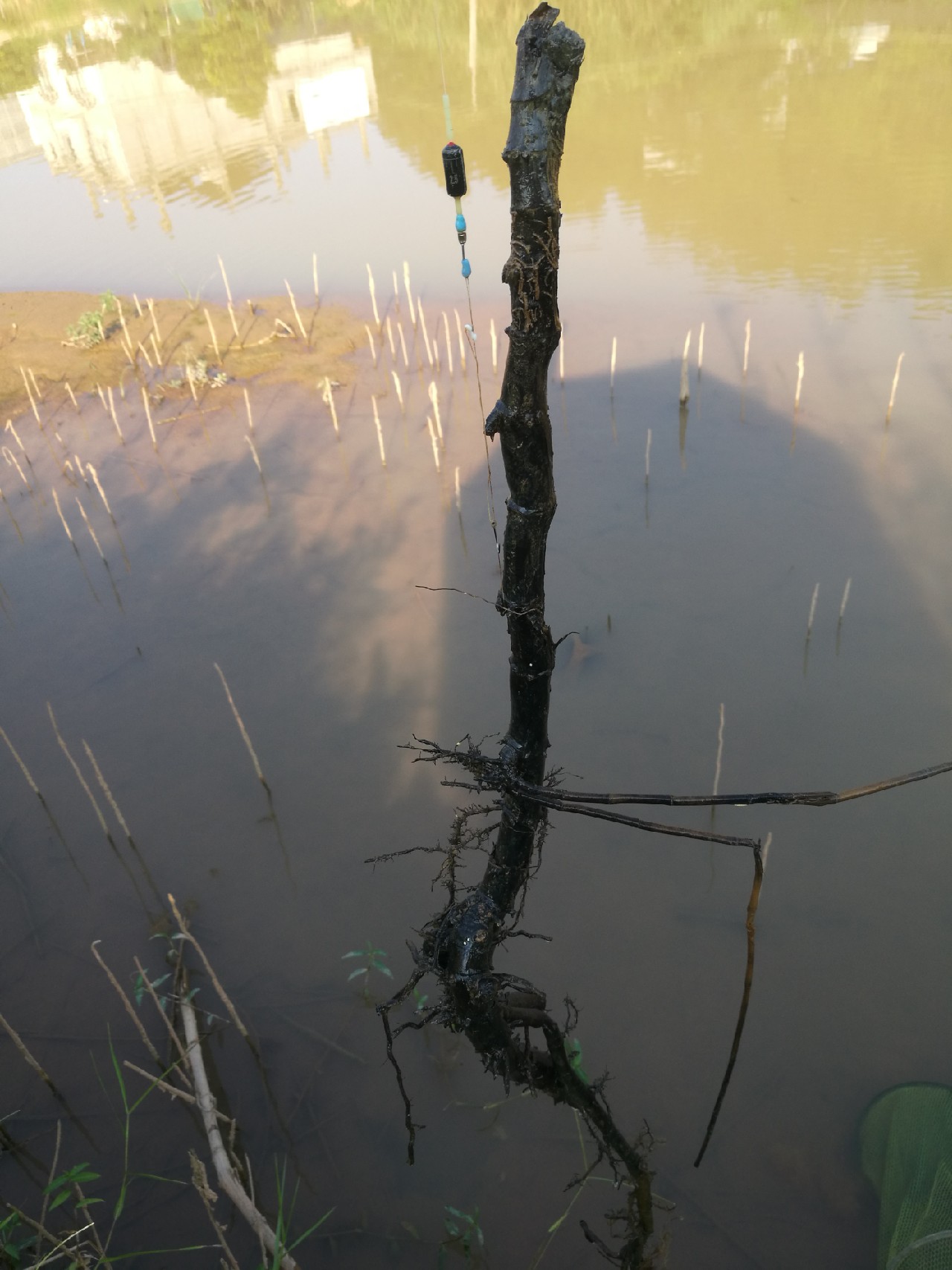 流水钓鱼的正确方法和技巧,流水钓鱼技巧视频海竿