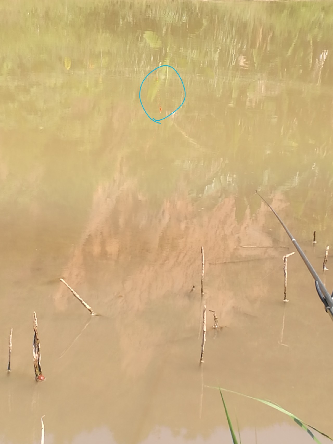 流水钓鱼的正确方法和技巧,流水钓鱼技巧视频海竿