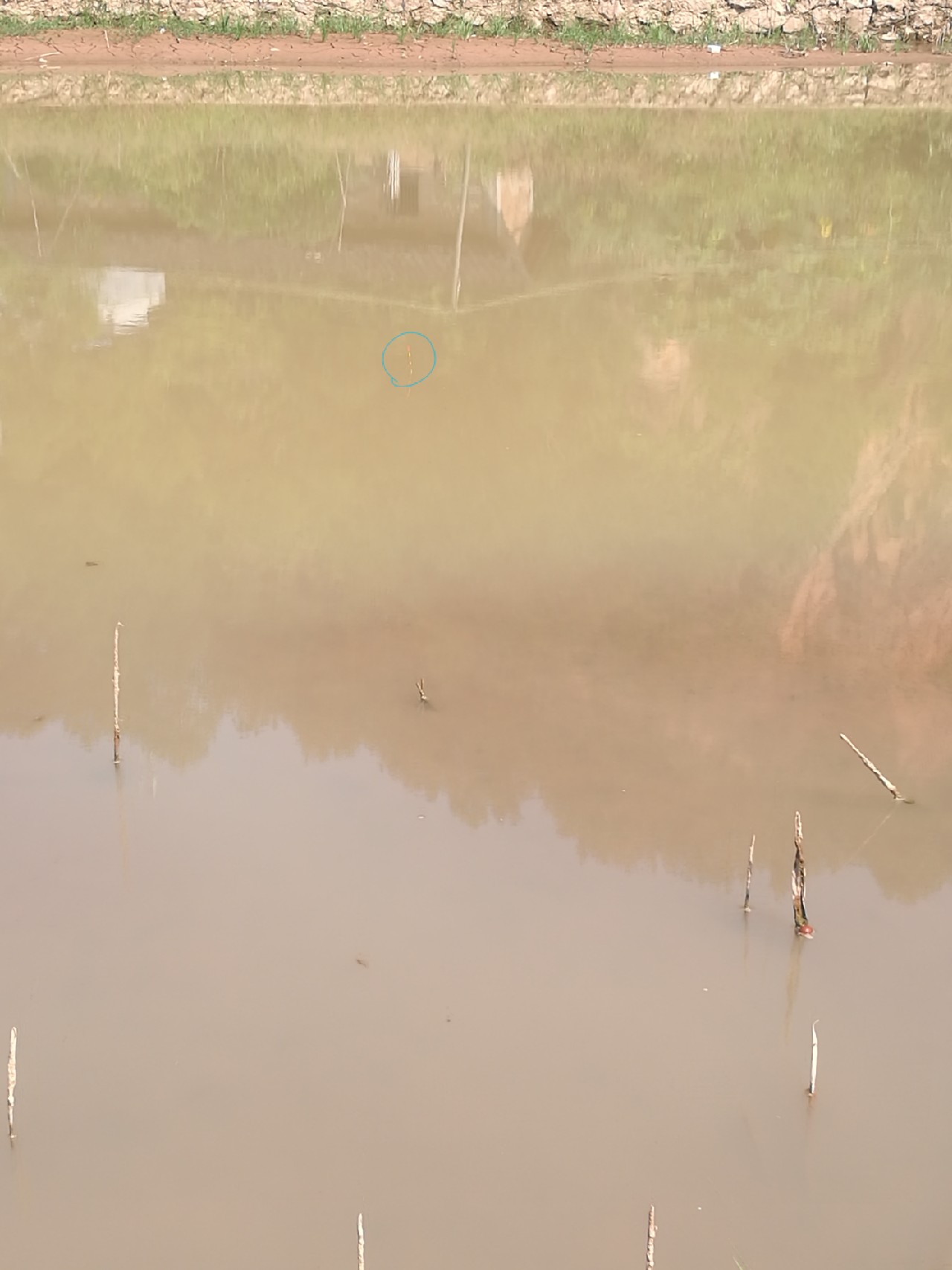 流水钓鱼的正确方法和技巧,流水钓鱼技巧视频海竿