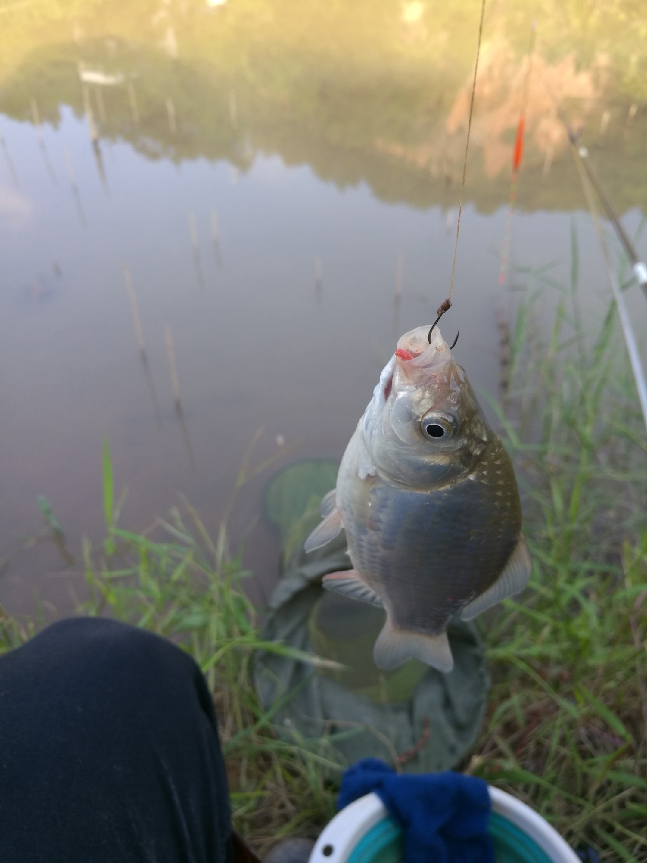 流水钓鱼的正确方法和技巧,流水钓鱼技巧视频海竿