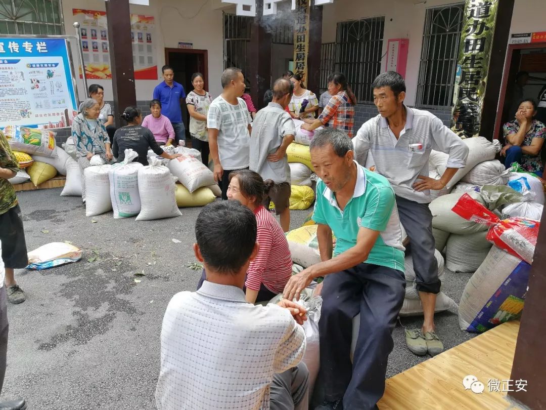 【攻坚动态】今年,田生社区这项产业实现产值近10万元