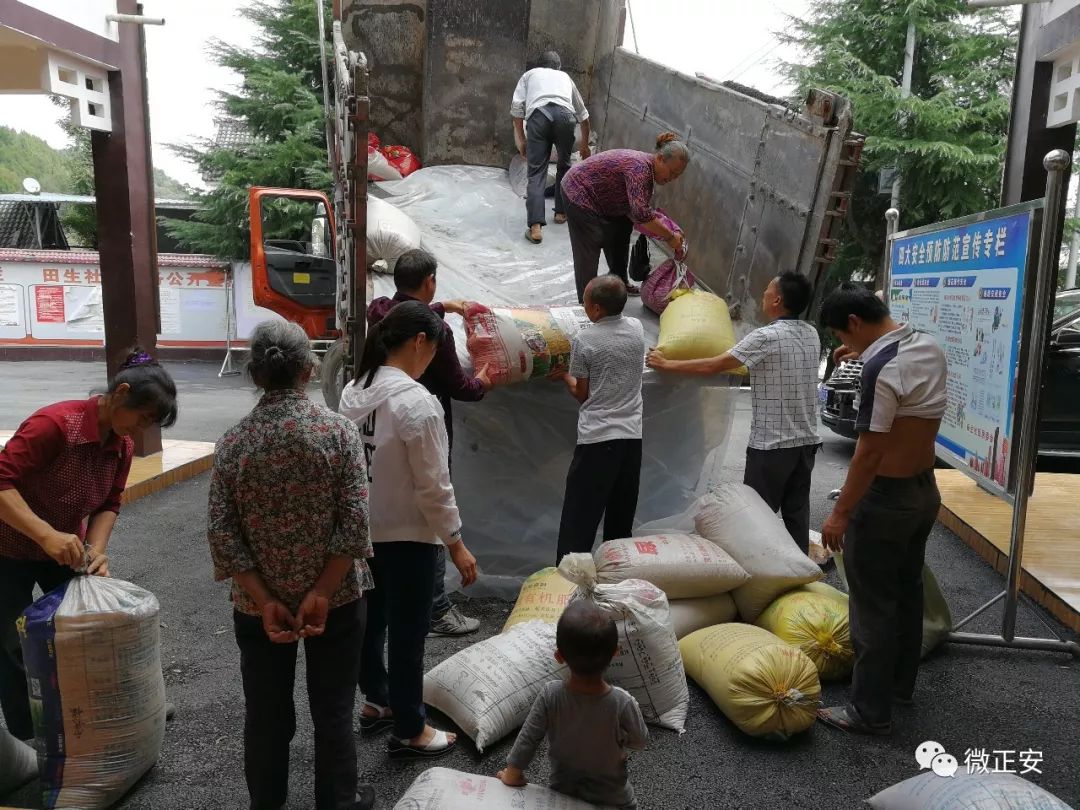 【攻坚动态】今年,田生社区这项产业实现产值近10万元