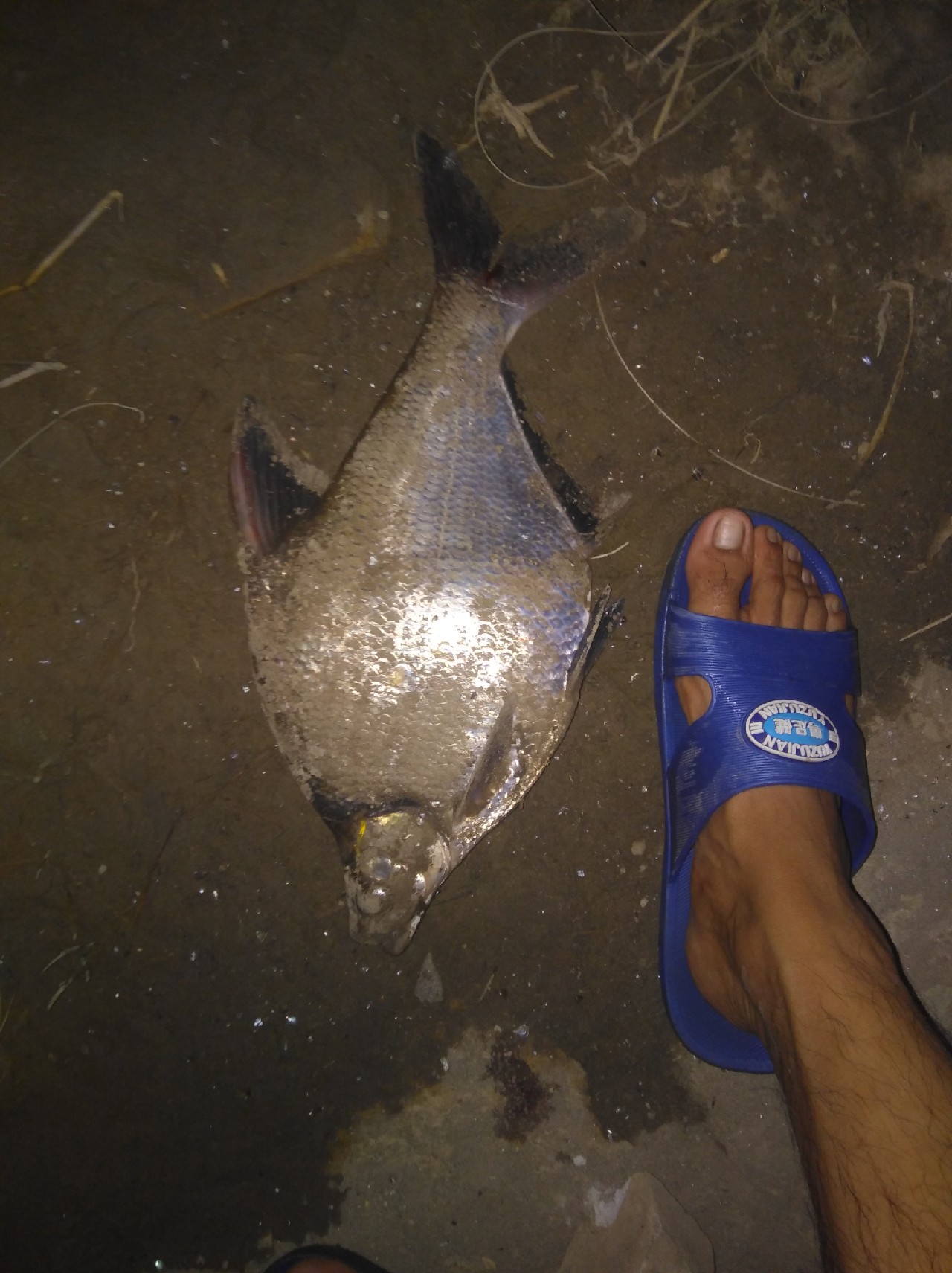 新手垂钓技巧大全,在垂钓中经常用到的一些小技巧