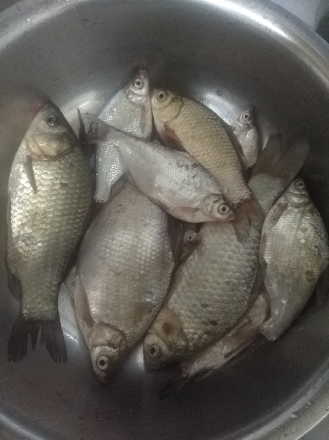 新手垂钓技巧大全,在垂钓中经常用到的一些小技巧