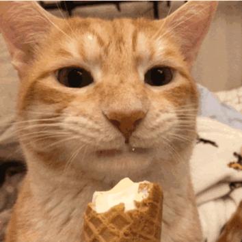 护肤好物你一定要知道,一定要知道的护肤好物