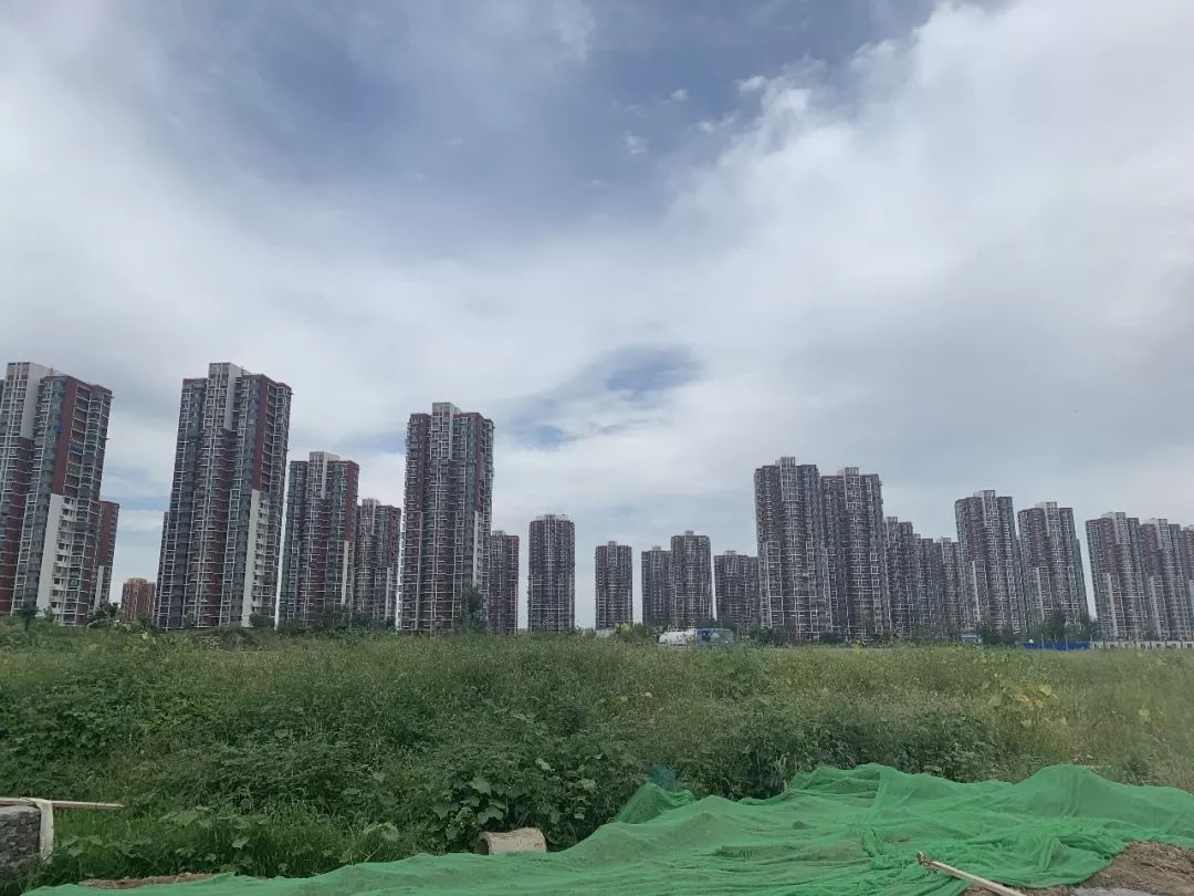 台湖东望和台湖金茂悦,质造和南威哪个好