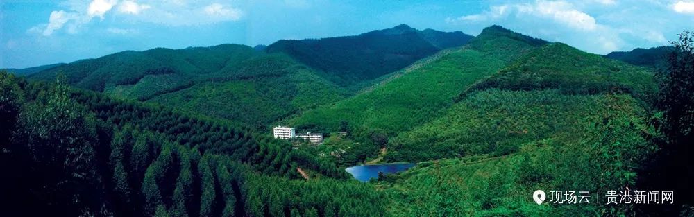 发布：腾飞的港南！