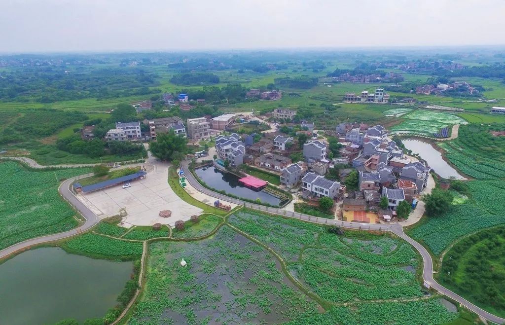 发布：腾飞的港南！