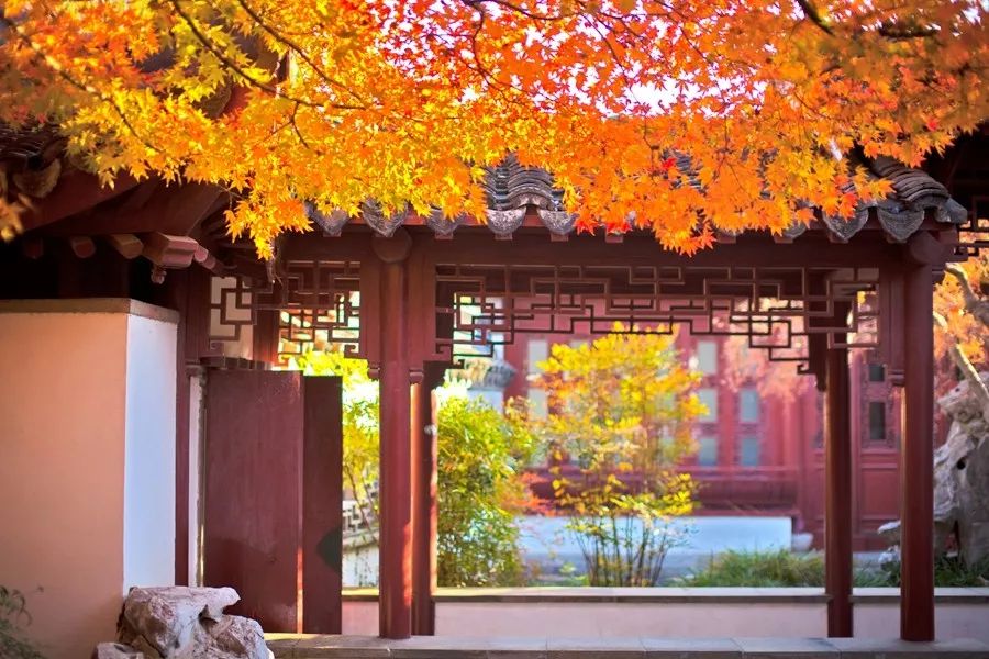 上海必打卡秋季美景,上海的秋季美景