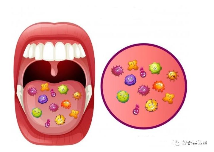 刚刷完牙有必要用漱口水吗,刷完牙有必要用漱口水么