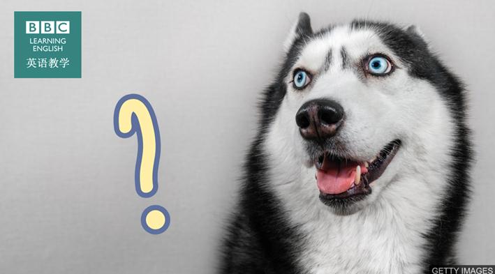 没听明白别人说话时该怎么说,没听清楚对方说什么该怎么回答