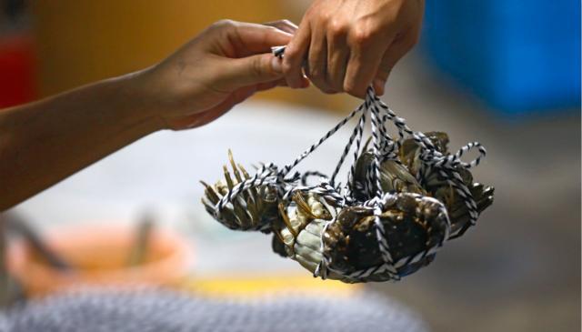 现在螃蟹的价格是多少,最近螃蟹价格