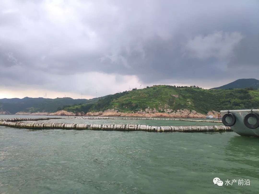 土豪老板成功养殖了数10万条鱼,人工养殖中国国宝娃娃鱼