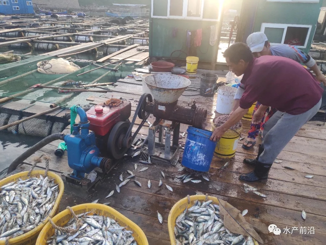 土豪老板成功养殖了数10万条鱼,人工养殖中国国宝娃娃鱼