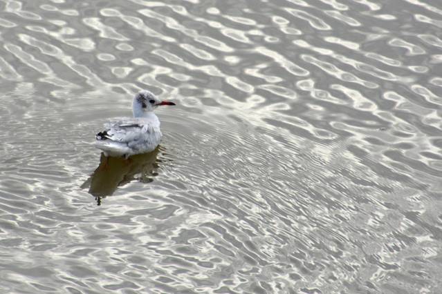 自驾锦州盘锦铁刹山路线,辽宁棋盘山自驾游攻略