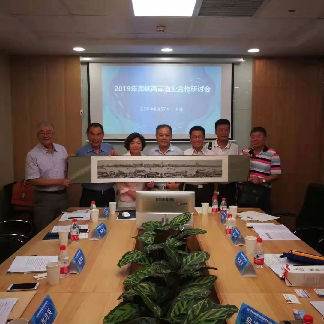 东方财经论坛节目,东方财经报道视频