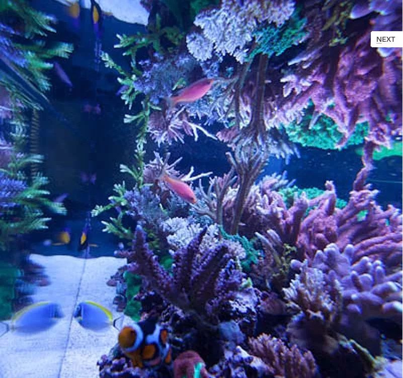 1.2米的缸需要多少沙,1.2米缸改造