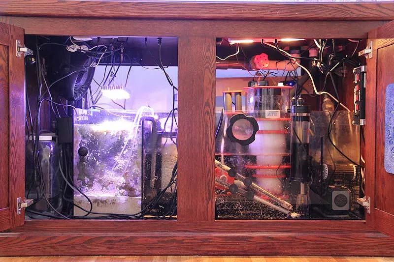 1.2米的缸需要多少沙,1.2米缸改造