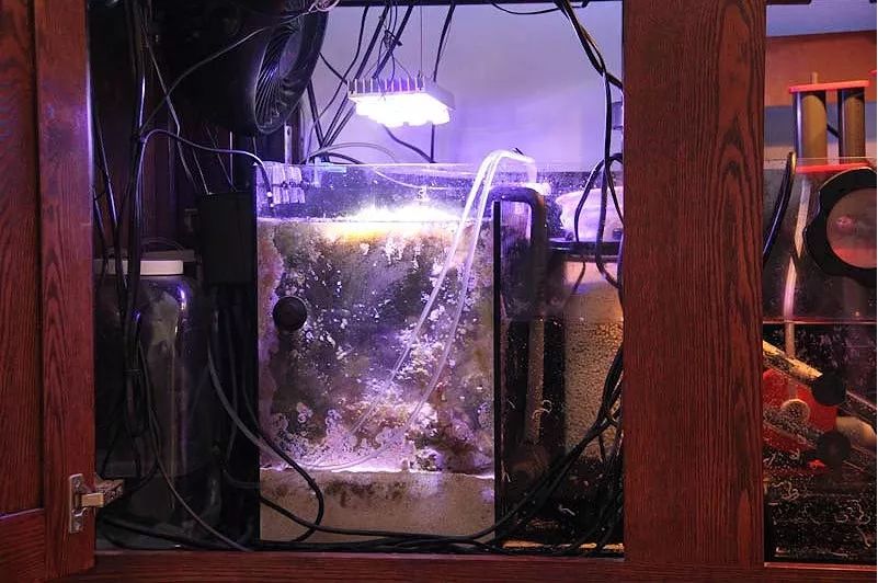 1.2米的缸需要多少沙,1.2米缸改造