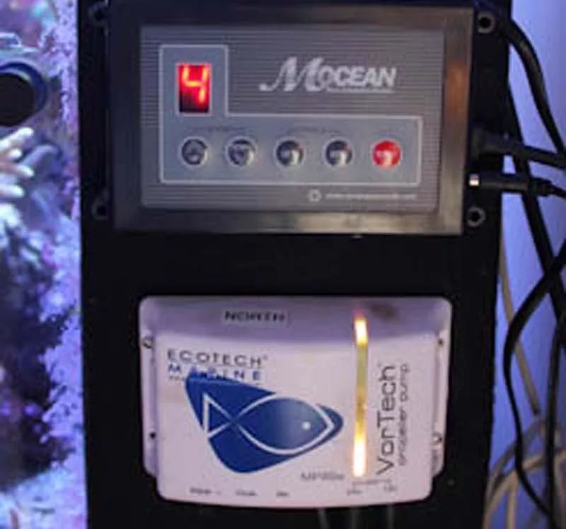 1.2米的缸需要多少沙,1.2米缸改造