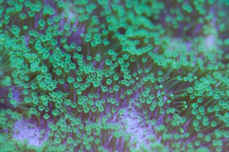 1.2米的缸需要多少沙,1.2米缸改造