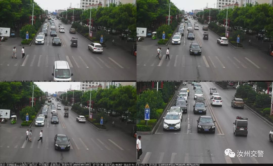 汝州第一座玻璃天桥十一“开桥”/不礼让行人大曝光/一晚上被骗近23万！汝州人当心