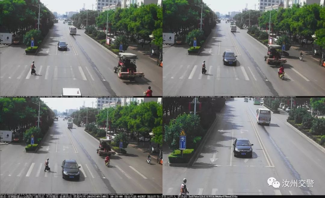 汝州第一座玻璃天桥十一“开桥”/不礼让行人大曝光/一晚上被骗近23万！汝州人当心