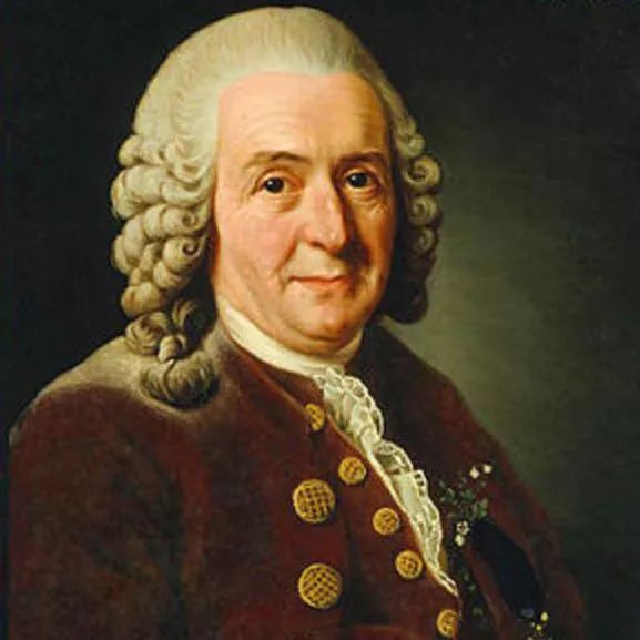 垃圾分类都不容易,垃圾分类难的原因有哪些