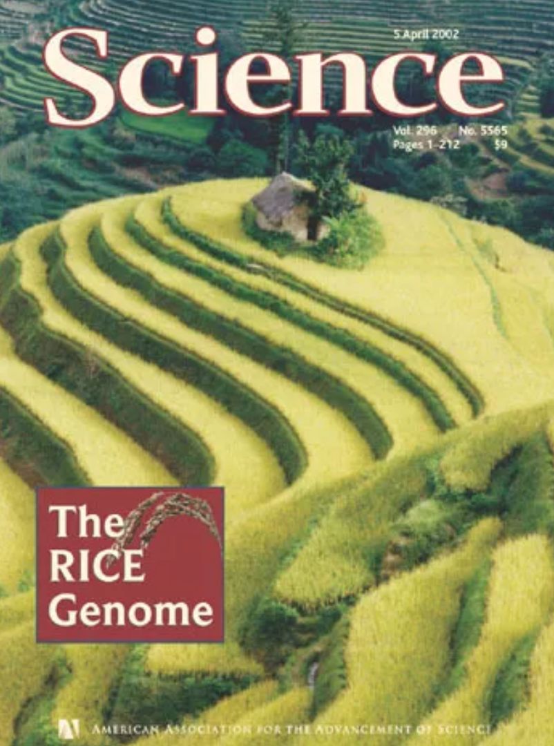 垃圾分类都不容易,垃圾分类难的原因有哪些