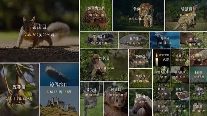 垃圾分类都不容易,垃圾分类难的原因有哪些