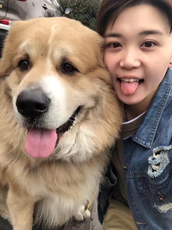 90后美女现场“吃播”宠物餐“宠物鲜食”卖成了直播间爆款