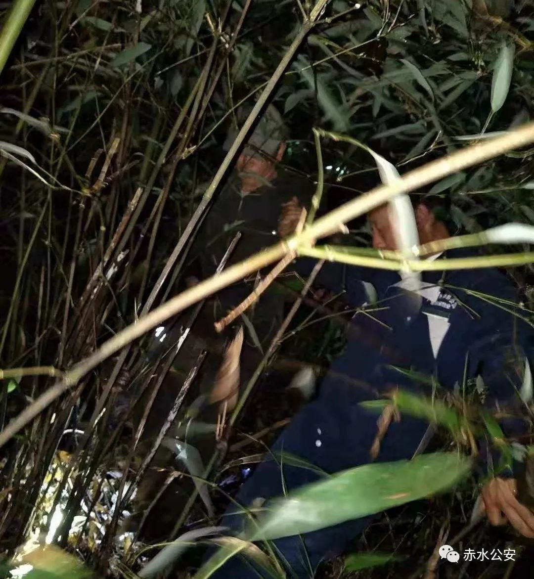 【双提升专栏】重庆老人采竹笋被困深山警民搜寻6小时成功营救