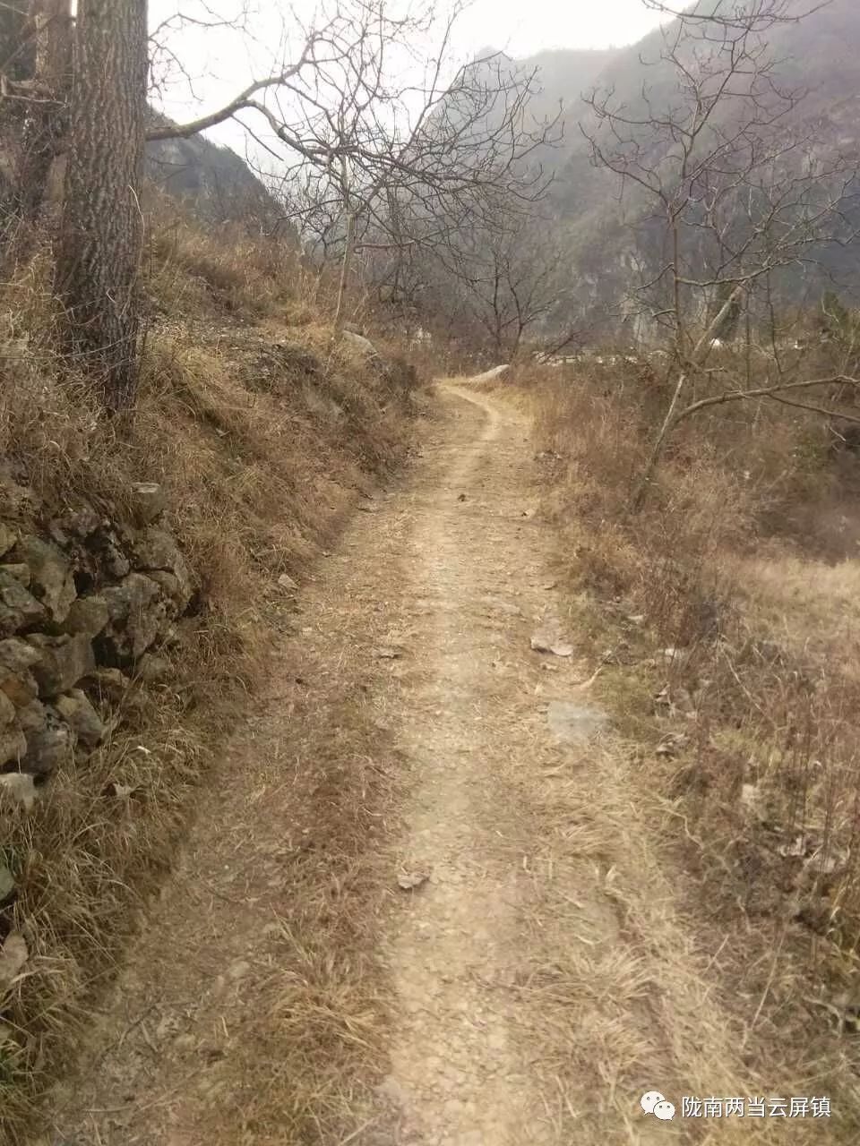 庆祝新中国成立70周年活动记录,庆祝新中国成立70周年视频