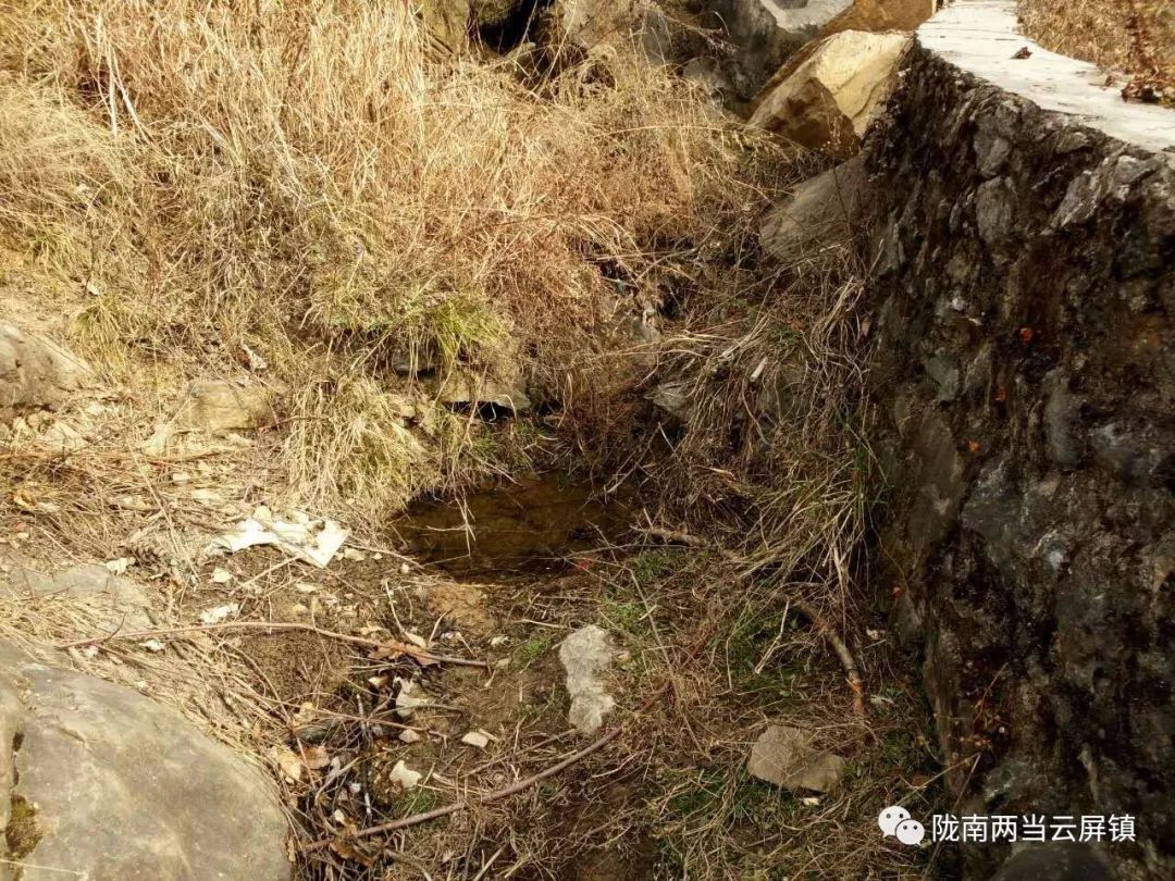 庆祝新中国成立70周年活动记录,庆祝新中国成立70周年视频